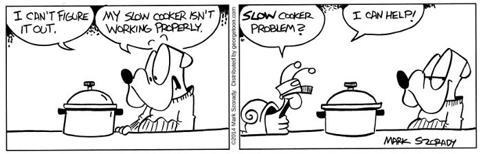 Slow Cooker