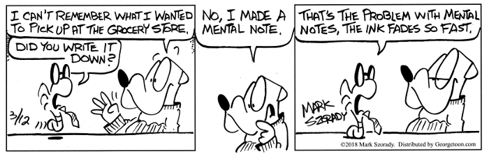 Mental Notes